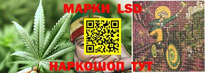 альфа пвп Аргун