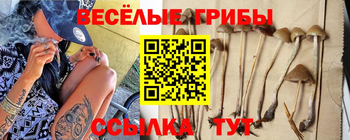 Псилоцибиновые грибы Cubensis Белебей
